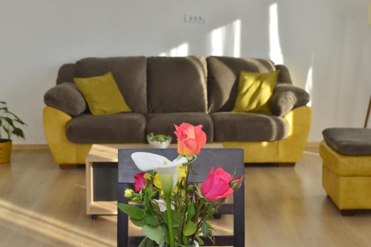 Milosavljevic Apartments Tivat Dış mekan fotoğraf