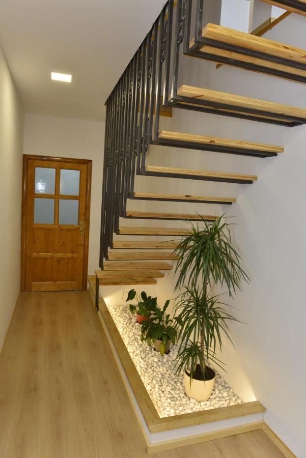 Milosavljevic Apartments Tivat Dış mekan fotoğraf