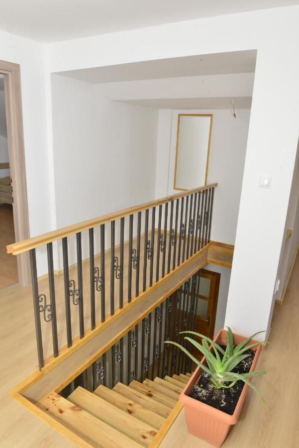 Milosavljevic Apartments Tivat Dış mekan fotoğraf